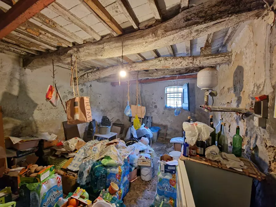 Immagine 23 di Terratetto in vendita  a Casciana Terme Lari