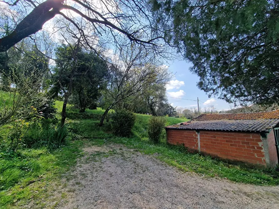 Immagine 13 di Terratetto in vendita  a Casciana Terme Lari