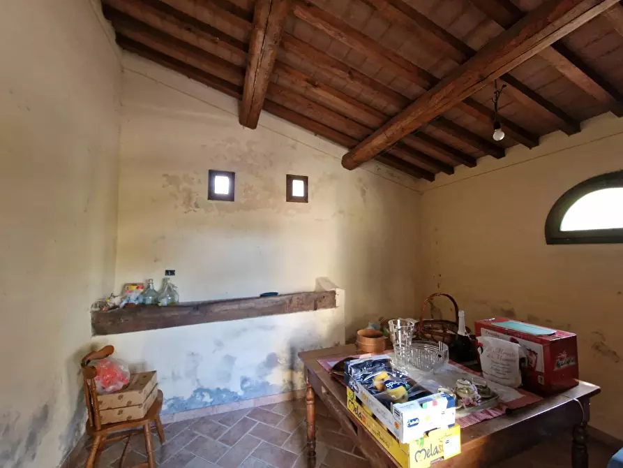 Immagine 6 di Terratetto in vendita  a Casciana Terme Lari