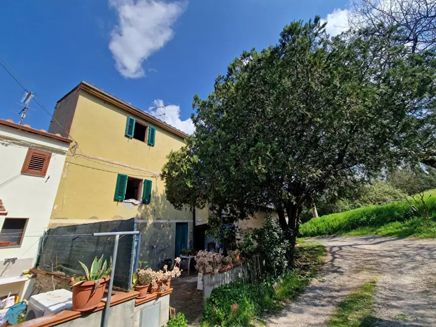 Immagine 3 di Terratetto in vendita  a Casciana Terme Lari