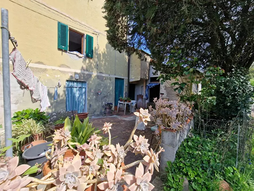 Immagine 5 di Terratetto in vendita  a Casciana Terme Lari