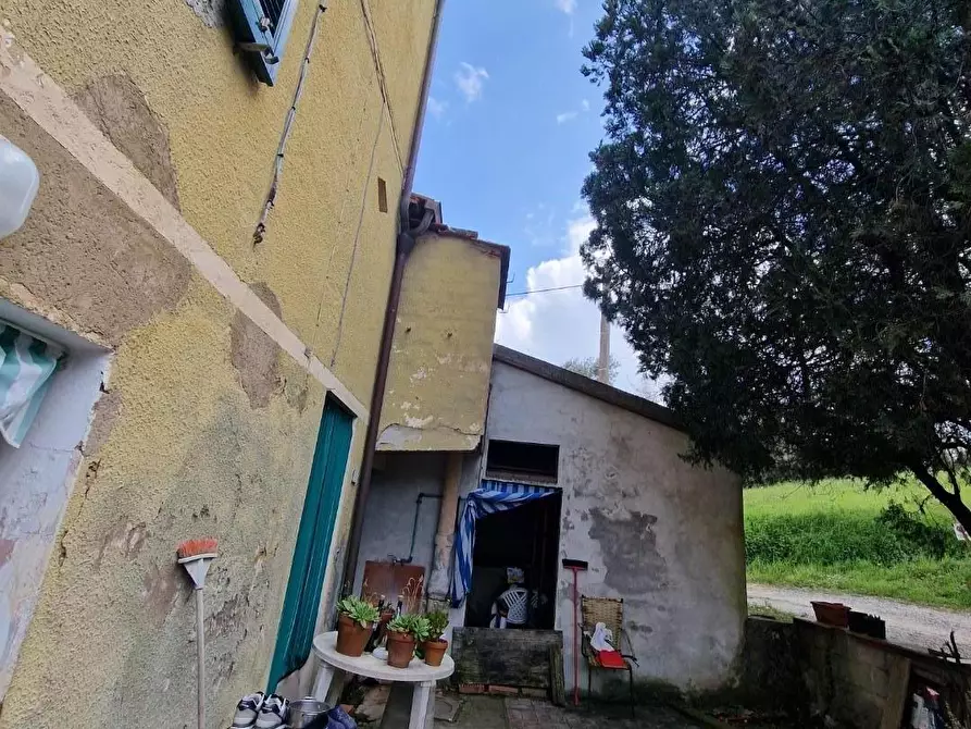 Immagine 42 di Terratetto in vendita  a Casciana Terme Lari