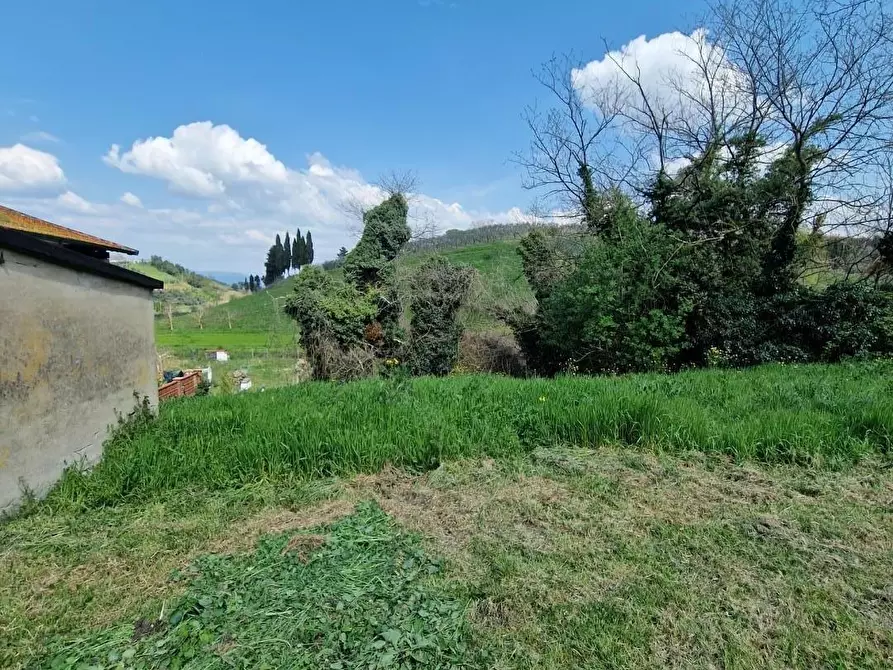 Immagine 59 di Terratetto in vendita  a Casciana Terme Lari