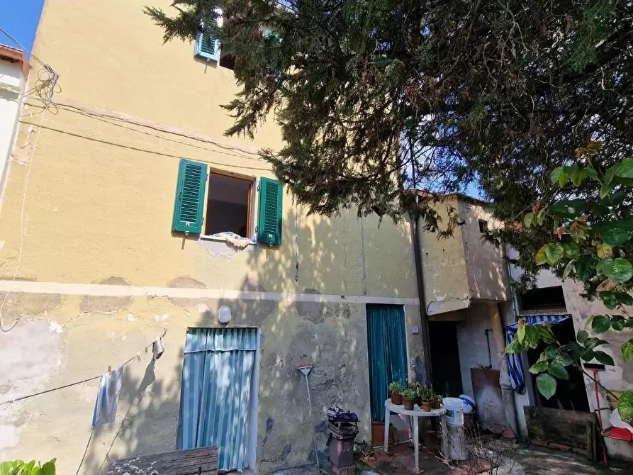 Immagine 12 di Terratetto in vendita  a Casciana Terme Lari