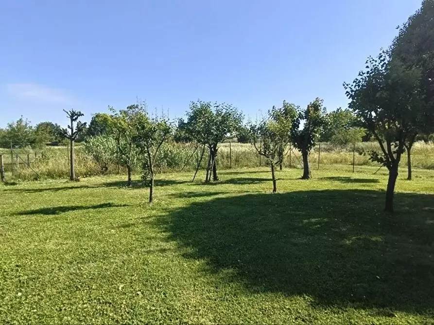 Immagine 35 di Casa bifamiliare in vendita  a Fucecchio