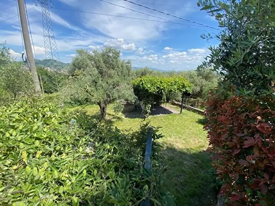 Immagine 11 di Appartamento in vendita  a Buggiano
