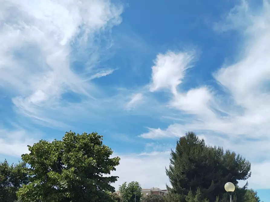 Immagine 30 di Appartamento in vendita  a Livorno