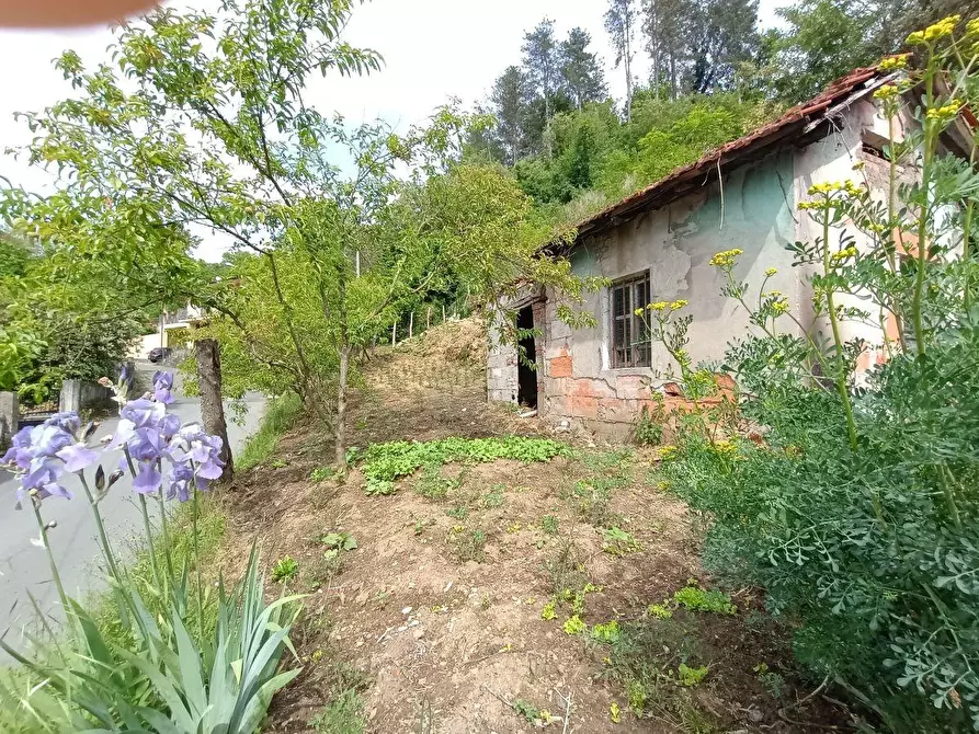 Immagine 4 di Casa semindipendente in vendita  a Villafranca In Lunigiana