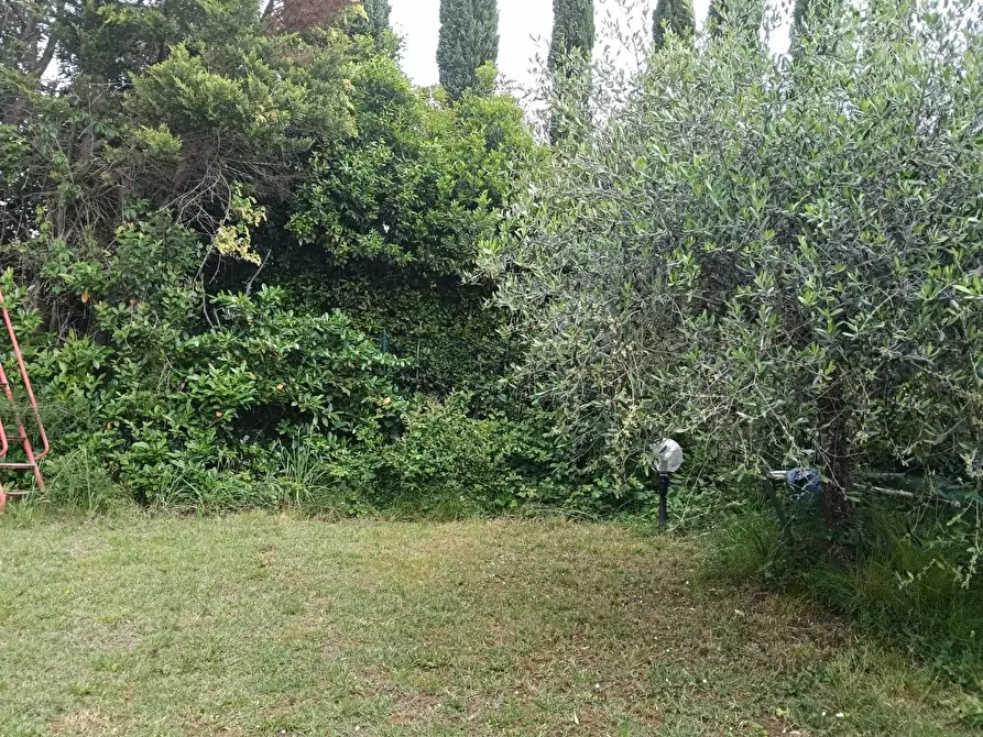Immagine 18 di Villetta a schiera in vendita  a Montelupo Fiorentino