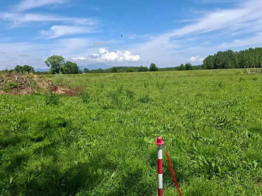 Immagine 5 di Terreno agricolo in vendita  a Capannoli