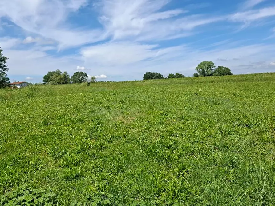 terreno agricolo in vendita a Capannoli
