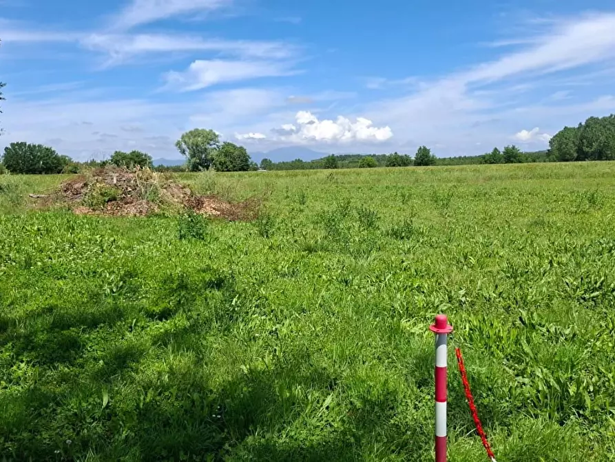 Immagine 3 di Terreno agricolo in vendita  a Capannoli