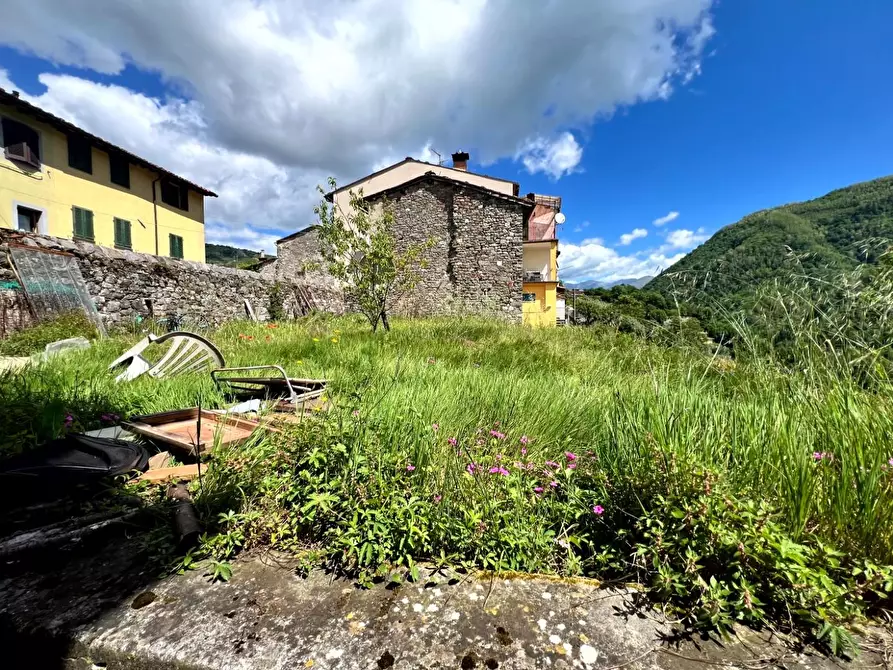 Immagine 50 di Terratetto in vendita  a Borgo A Mozzano