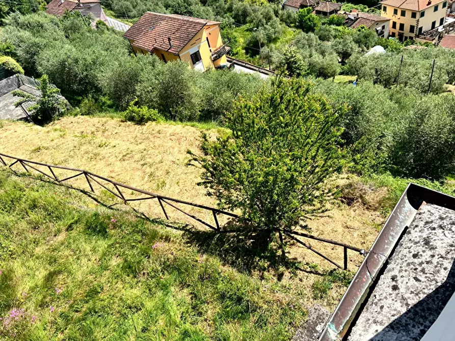Immagine 29 di Terratetto in vendita  a Borgo A Mozzano