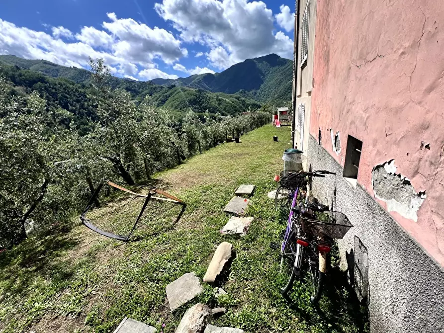 Immagine 44 di Terratetto in vendita  a Borgo A Mozzano