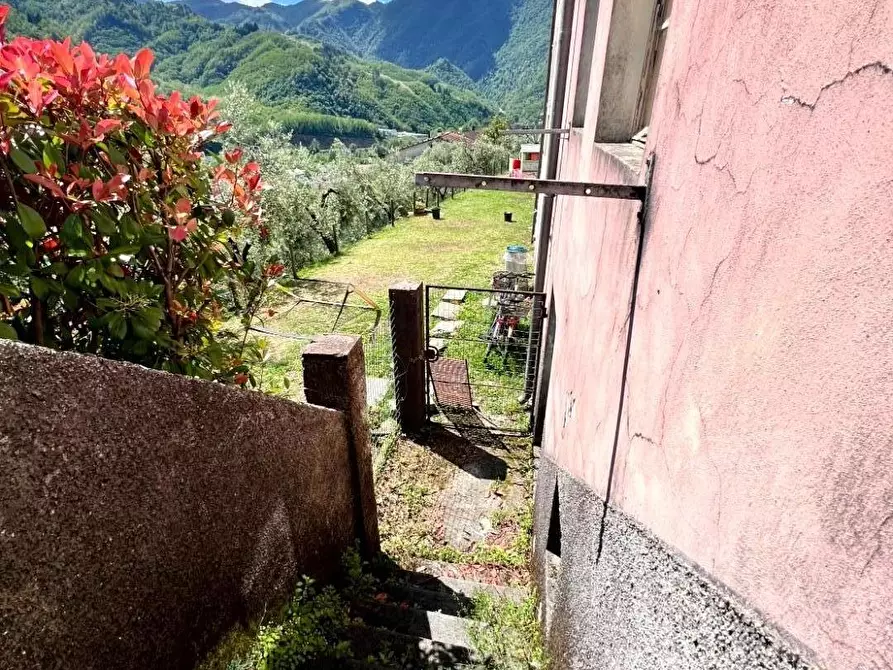 Immagine 43 di Terratetto in vendita  a Borgo A Mozzano