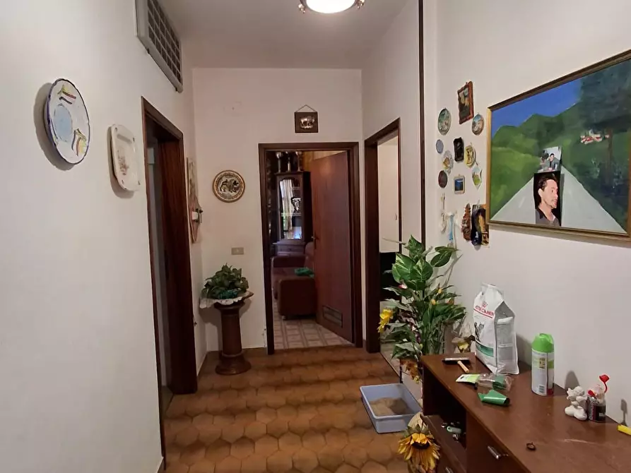 Immagine 3 di Appartamento in vendita  a Vinci