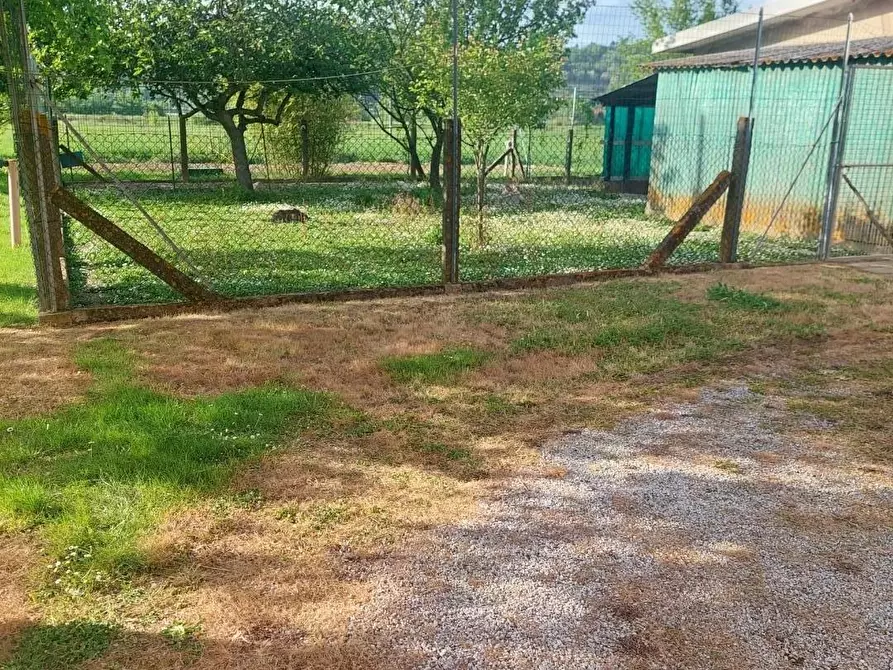Immagine 9 di Casa indipendente in vendita  a Castelfranco Di Sotto