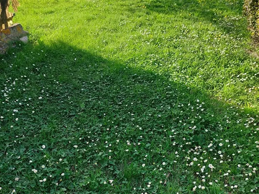 Immagine 10 di Casa indipendente in vendita  a Castelfranco Di Sotto