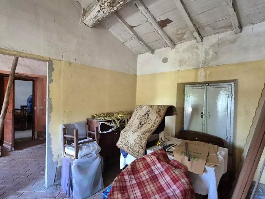 Immagine 30 di Rustico / casale in vendita  a Camaiore