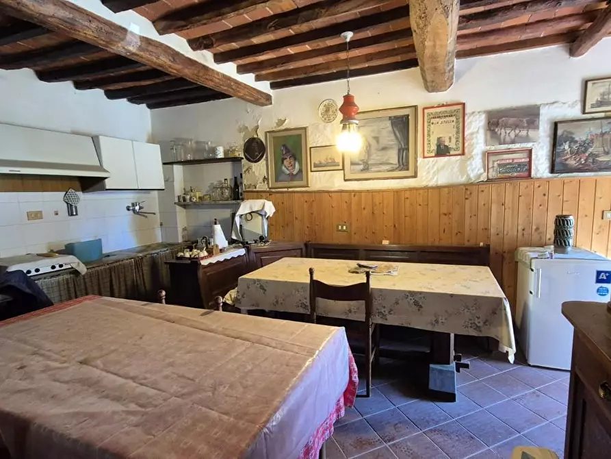 Immagine 19 di Rustico / casale in vendita  a Camaiore