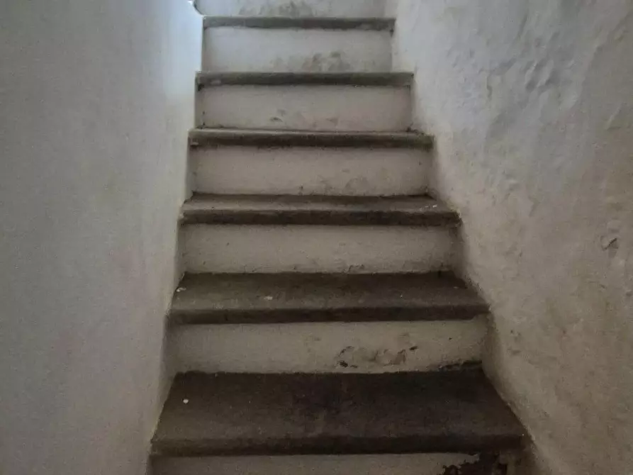 Immagine 20 di Rustico / casale in vendita  a Camaiore