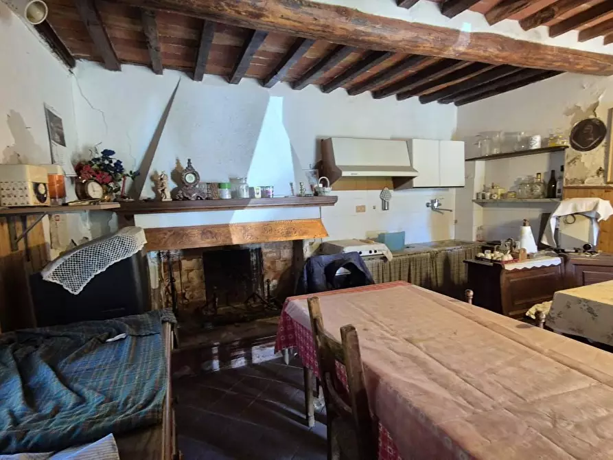 Immagine 17 di Rustico / casale in vendita  a Camaiore