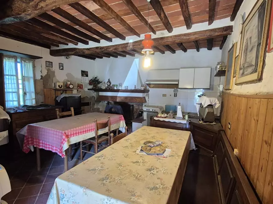 Immagine 14 di Rustico / casale in vendita  a Camaiore