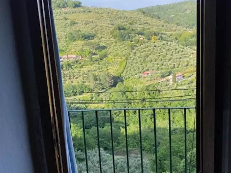 Immagine 30 di Appartamento in vendita  a Massa E Cozzile