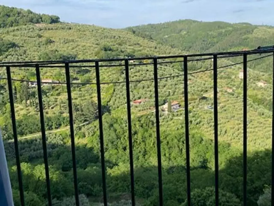 Immagine 35 di Appartamento in vendita  a Massa E Cozzile