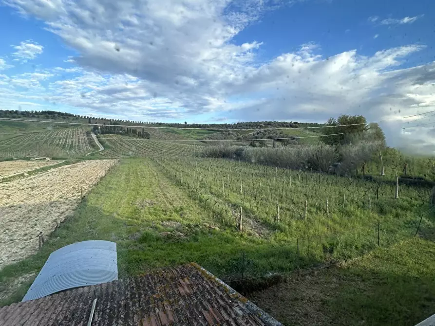 Immagine 13 di Villa in vendita  a Vinci