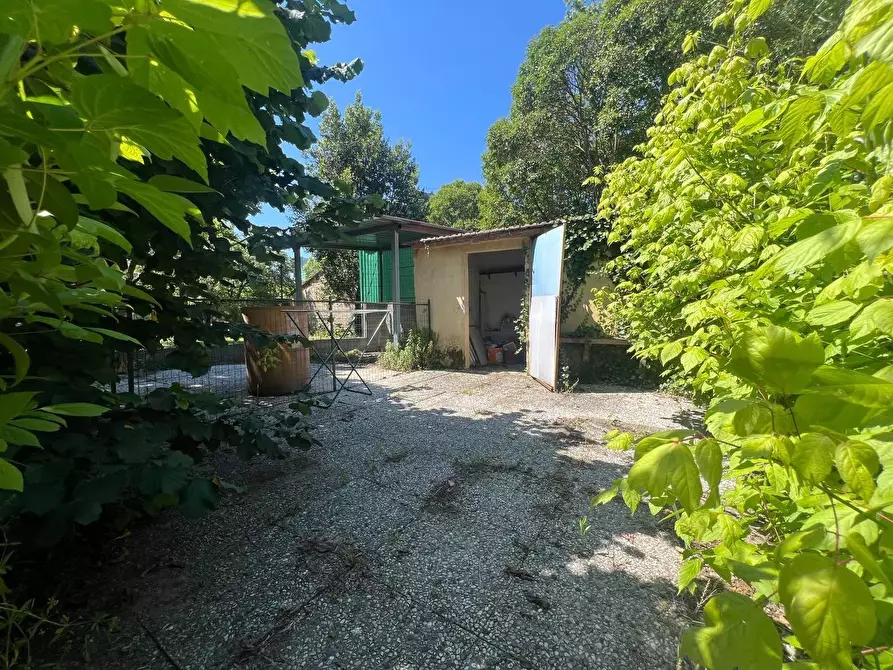 Immagine 15 di Appartamento in vendita  a Pontedera