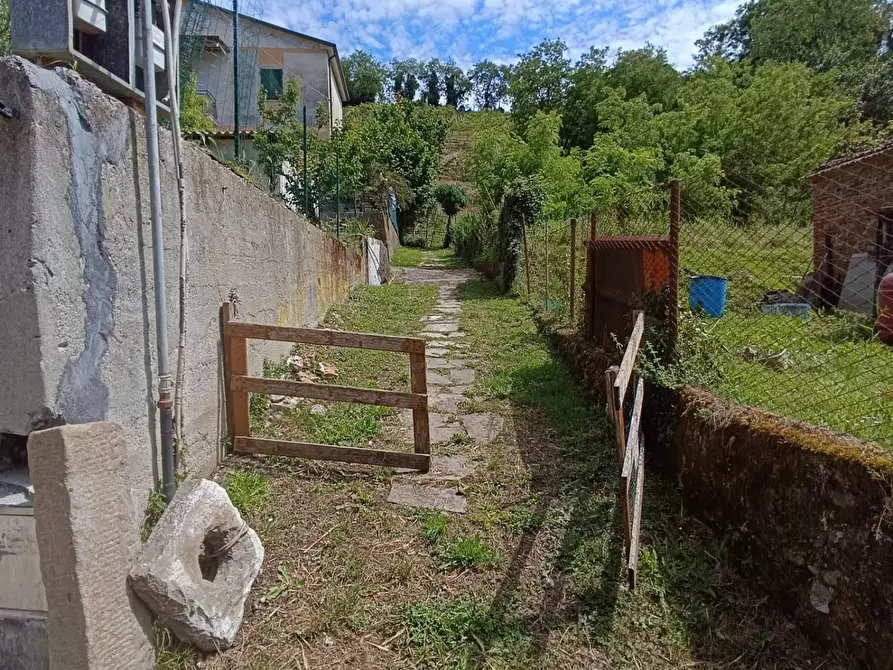Immagine 29 di Terreno agricolo in vendita  a Carrara