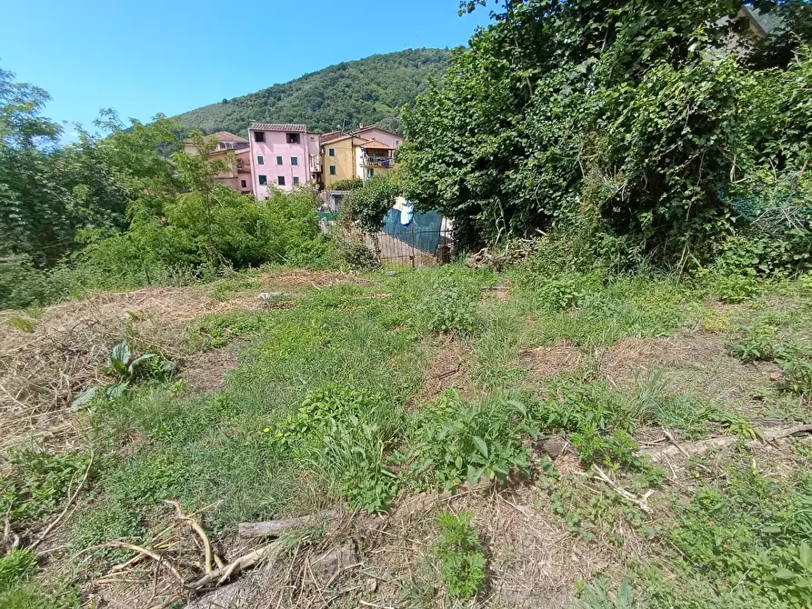 Immagine 32 di Terreno agricolo in vendita  a Carrara
