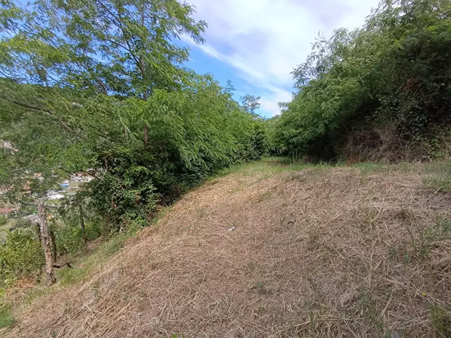 Immagine 23 di Terreno agricolo in vendita  a Carrara