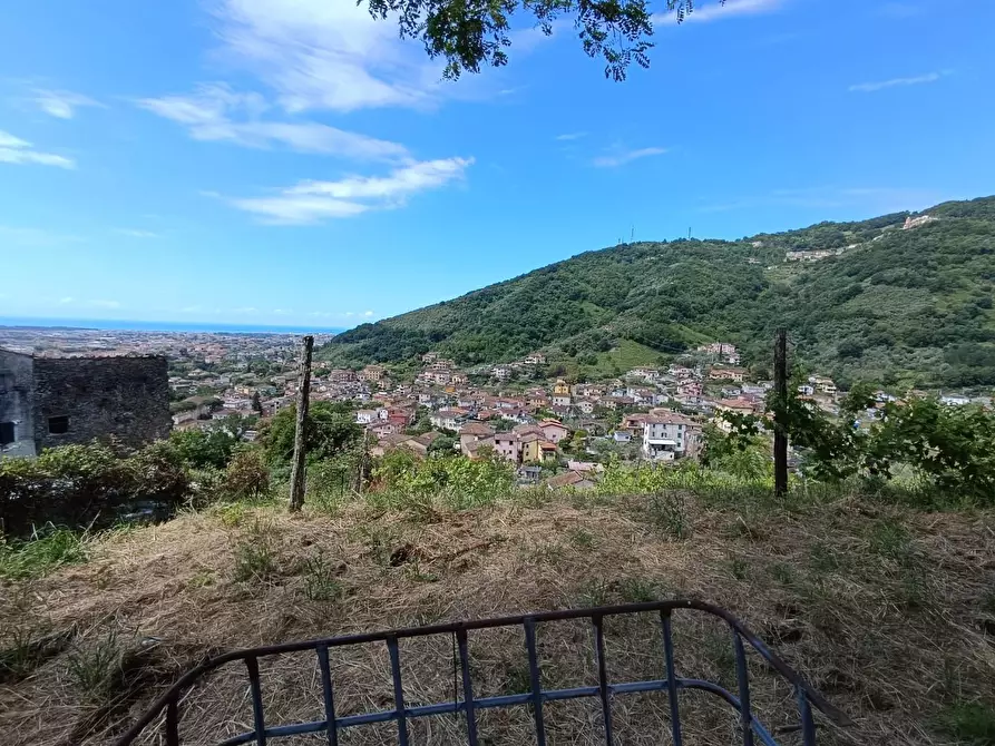 Immagine 26 di Terreno agricolo in vendita  a Carrara
