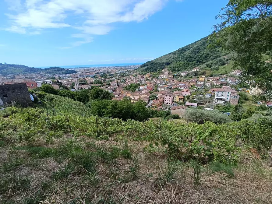 Immagine 24 di Terreno agricolo in vendita  a Carrara