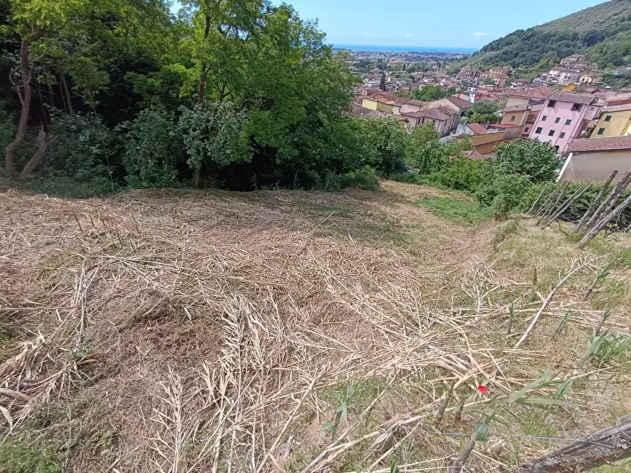 Immagine 36 di Terreno agricolo in vendita  a Carrara