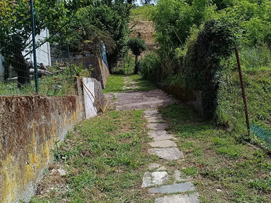 Immagine 30 di Terreno agricolo in vendita  a Carrara