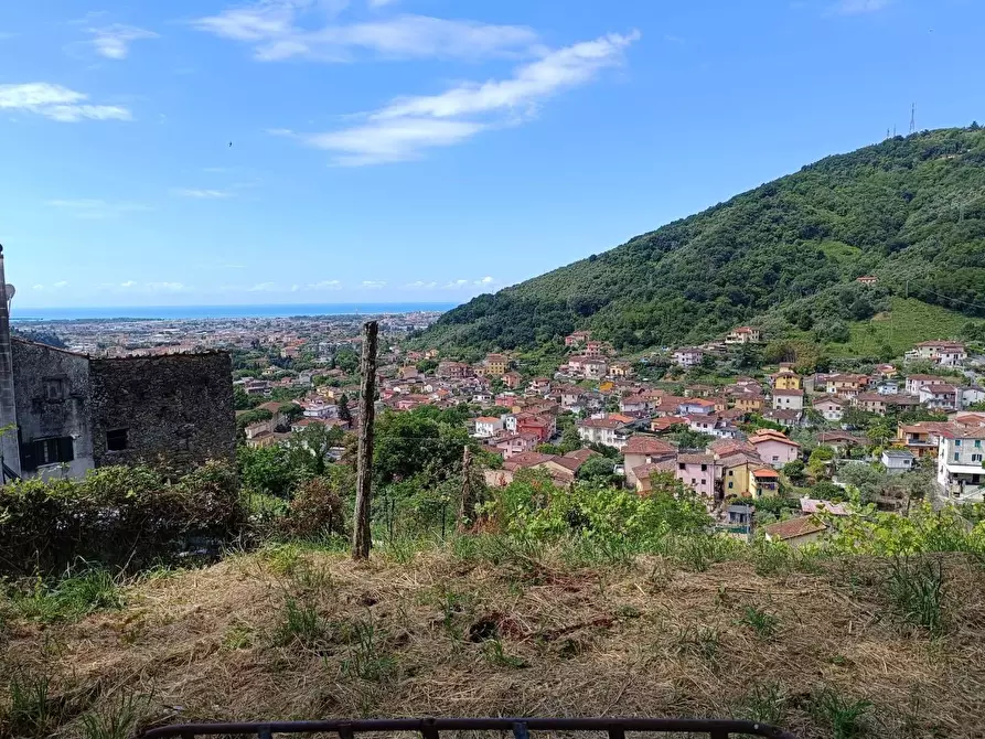 Immagine 27 di Terreno agricolo in vendita  a Carrara