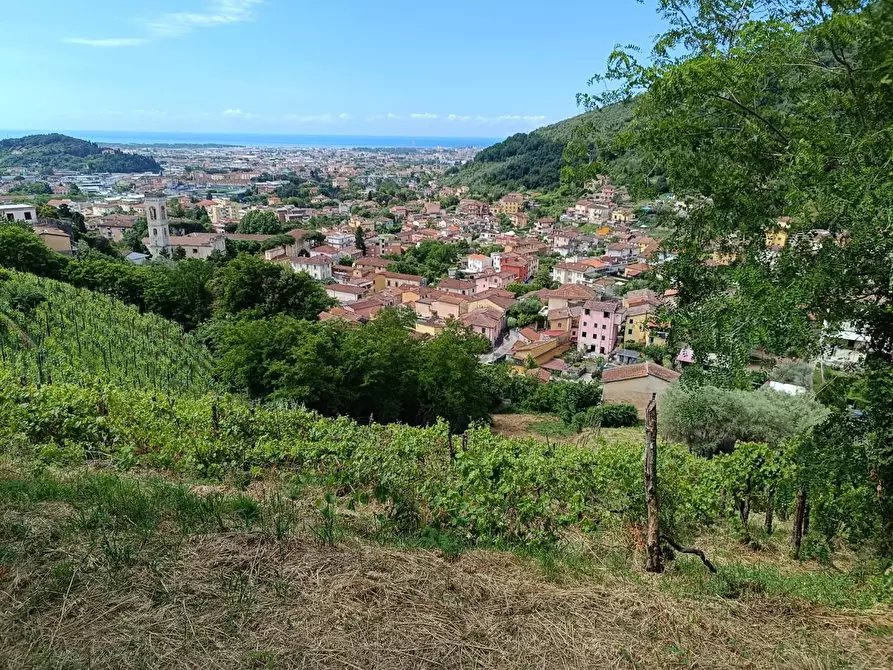 Immagine 1 di Terreno agricolo in vendita  a Carrara