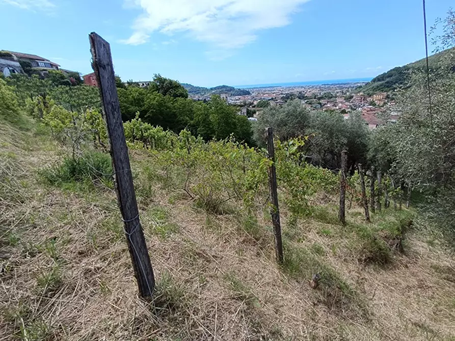Immagine 10 di Terreno agricolo in vendita  a Carrara