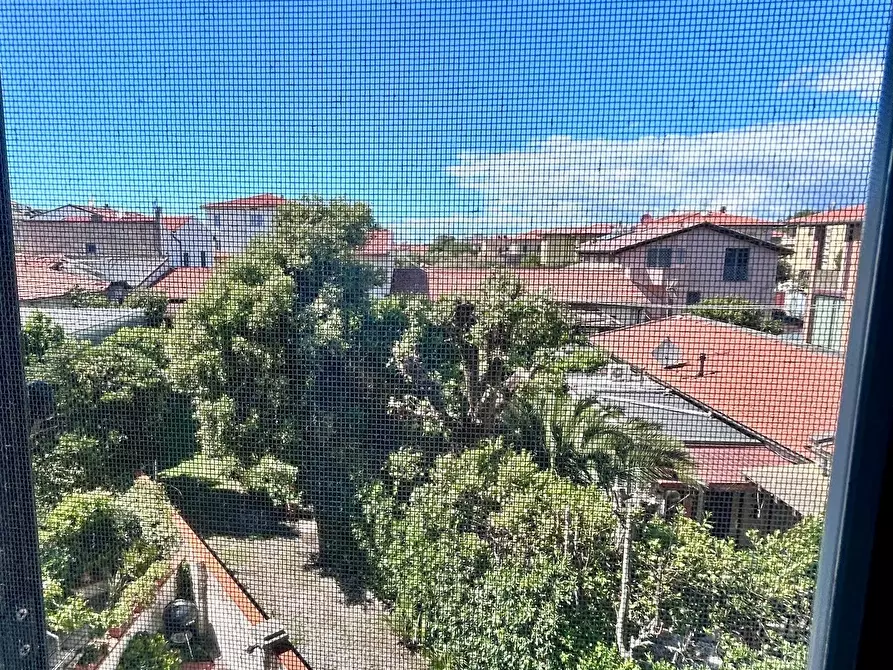 Immagine 45 di Terratetto in vendita  a Pisa