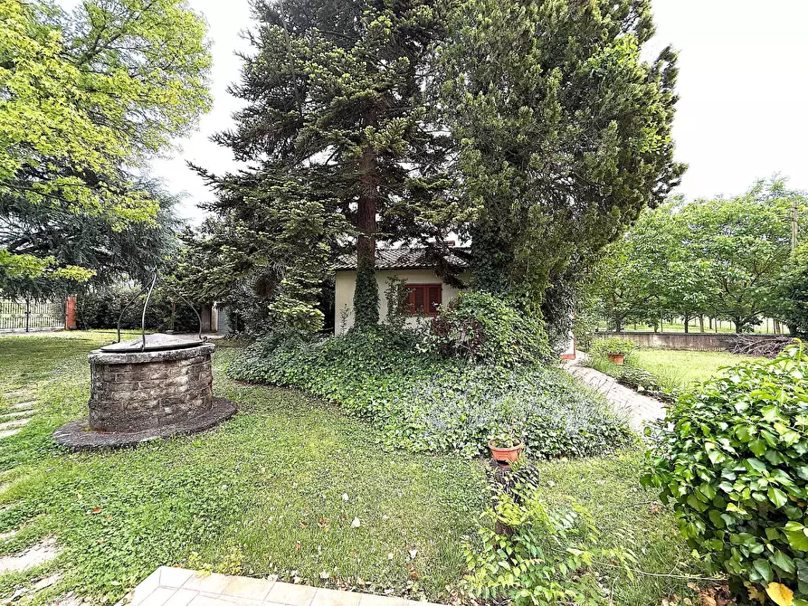 Immagine 4 di Terratetto in vendita  a Empoli