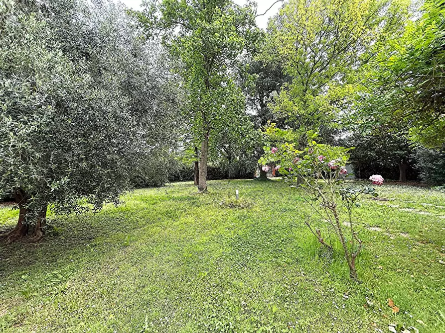 Immagine 7 di Terratetto in vendita  a Empoli