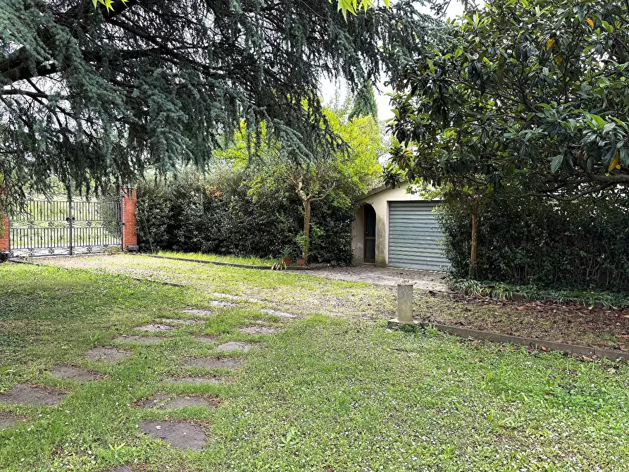 Immagine 5 di Terratetto in vendita  a Empoli