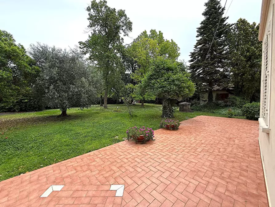 Immagine 6 di Terratetto in vendita  a Empoli