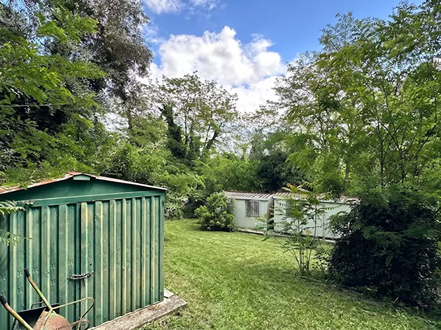 Immagine 29 di Villa in vendita  a Casciana Terme Lari