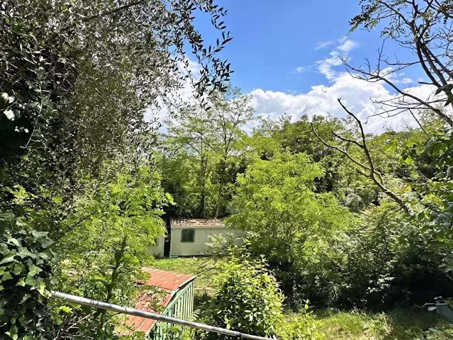 Immagine 28 di Villa in vendita  a Casciana Terme Lari