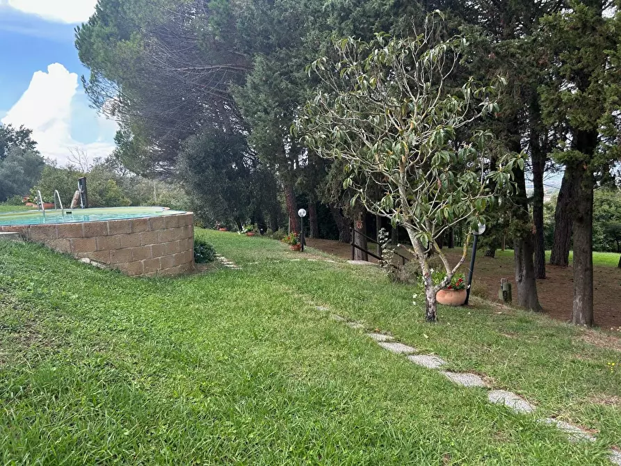 Immagine 9 di Casa indipendente in vendita  a San Miniato